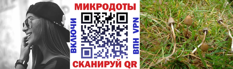 Псилоцибиновые грибы GOLDEN TEACHER  Ессентукская 